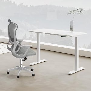 Flexispot ergonomischen Schreibtischstuhl um 80,54 € statt 156,66 €